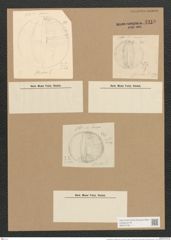 Campylodiscus undulatus Grev. (de-Toni-Nr.: Genus 57, Species 2447) Zeichnungen Sammlung Grunow Nr. 4918 (NHMW-BOT-W0373126)